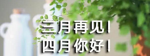 《梦回春日》