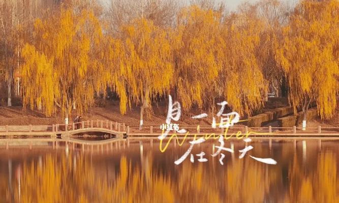小雪飘洒，万物皆洁（雪中静观）
