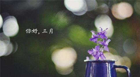 三月的温暖，二月的感慨（以暖心语录）
