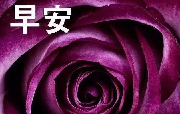 携手迎接新年春暖花开（携手迎接新年春暖花开）