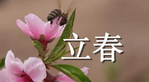 立春祝福语——传递春天的暖意（用唯美短句传递真挚情感）