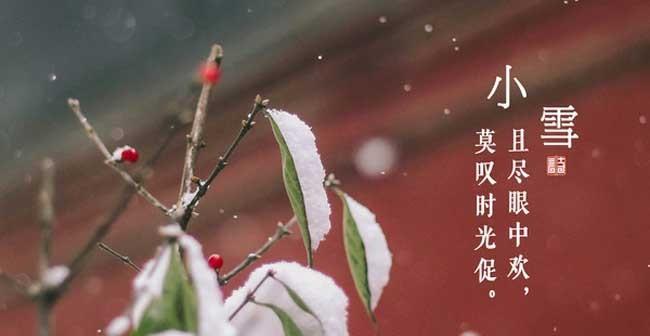 关注身心健康，感悟生命变迁（关注身心健康）