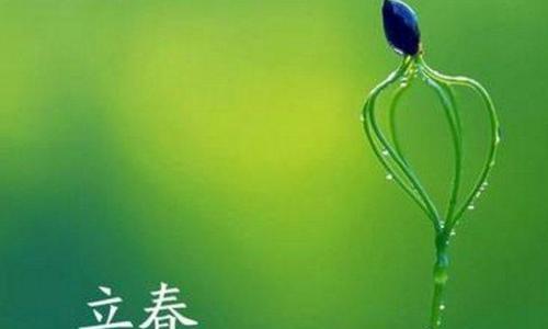 迎春祈愿，万物复苏（迎春祈愿）