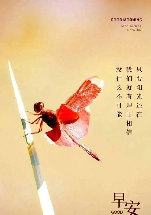 2024，正能量的涌动（未来之光）