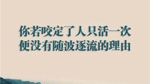 以唯美短句为引领，深刻感悟生命的真谛（以唯美短句为引领）