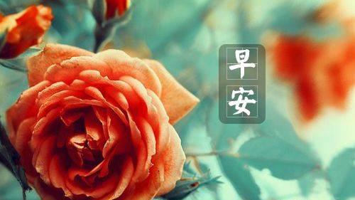 唤醒美好的一天（唤醒美好的一天）