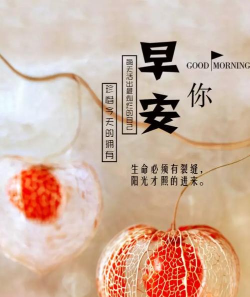 以唯美短句为主的25个段落，让你的朋友圈早安更具有吸引力（以唯美短句为主的25个段落）