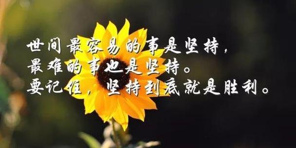 名言励志，2024我行天下（用唯美短句）
