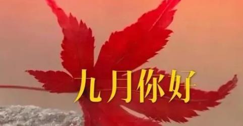 初秋里的微光（以九月你好抖音好句简短干净2024为题材的唯美短句）