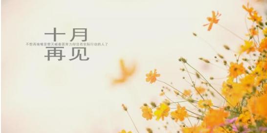 岁月静好，花开笑颜——2024最后一天心情说说（细数人生百态）