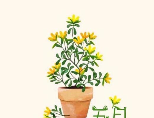 走过2024，感恩有你（留下最美的回忆）