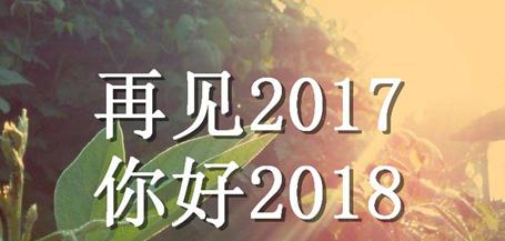 最后一刻的美丽（2024最后一天的瞬间）