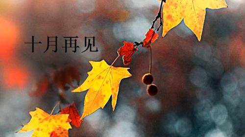 告别2024，迎接新的起点（以美好的心情迎接2024）
