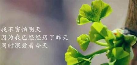 岁月静好，如诗如画（用文字定格最后一个月的美好）