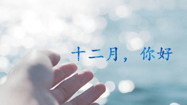 岁月静好，心情美好（用短句述说2024年12月的美好）
