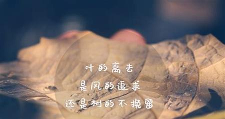 孤独的岁月（独自守候时间的尽头）