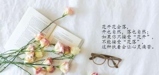探寻人生真相的旅程（探寻人生真相的旅程）