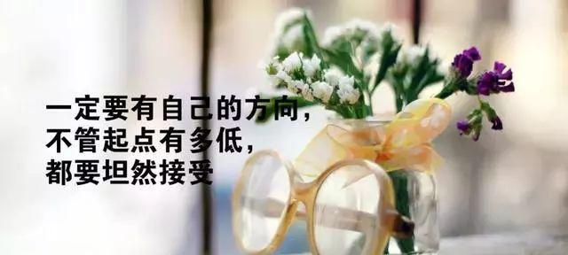 奋斗不止的力量（2024）