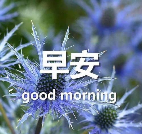 唯美早安心语，送给2024周末的朋友圈（感动你的心灵）
