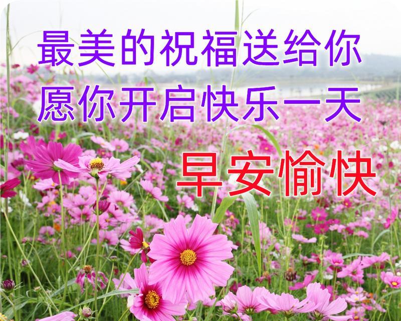 2024重阳节微信朋友圈祝福语句子（用唯美短句）