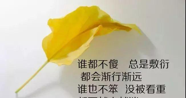 生命的华美（以感悟人生的经典唯美句子为主题）