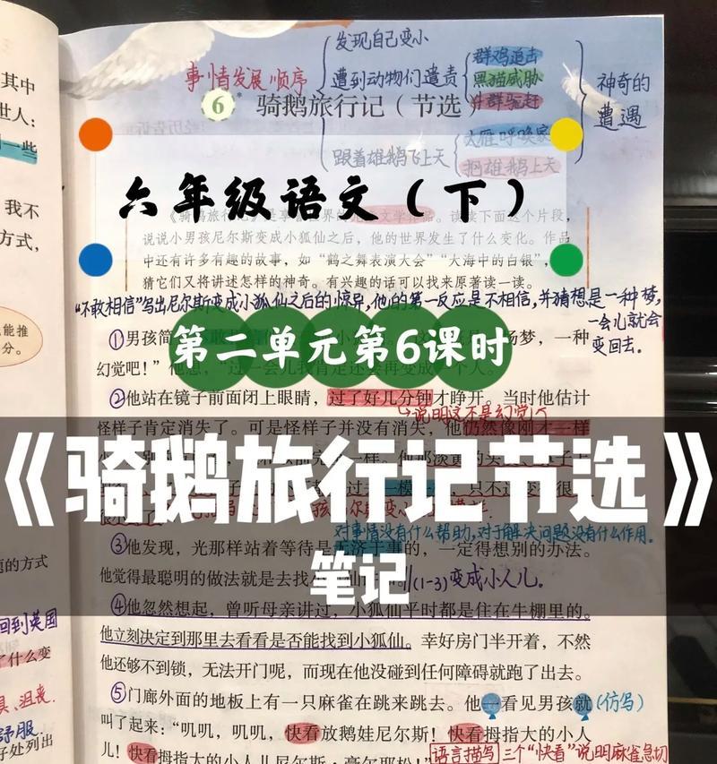 慢生活下的鹅之美（优雅神秘的天使之羽）