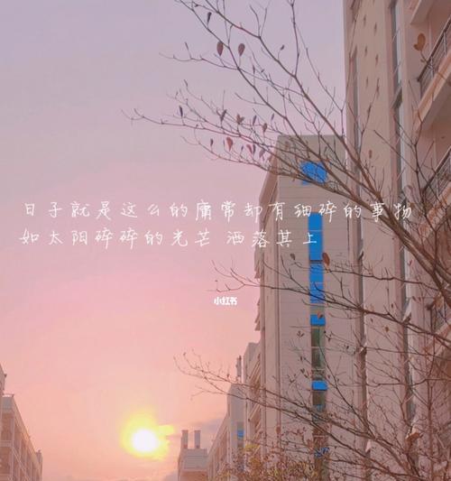 被温柔待，静享人生（温柔的力量）