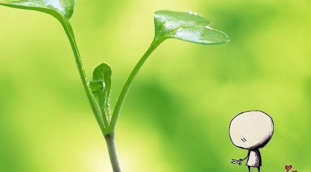绿色世界（自然之美）