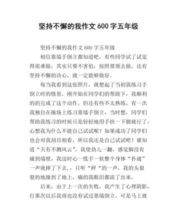 坚持不懈：追逐梦想的真谛