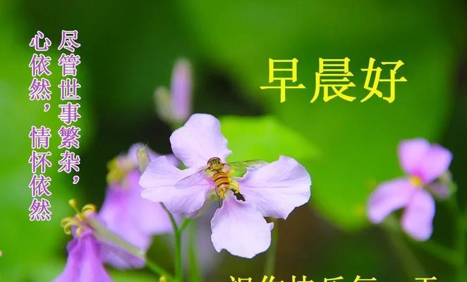 周末小确幸——唯美短句暖心唯美句子（用心感受生活的美好）