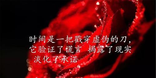 唯美句子，倾诉内心（唯美句子）
