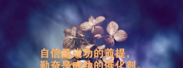 烈火红颜：唯美描写火焰的句子
