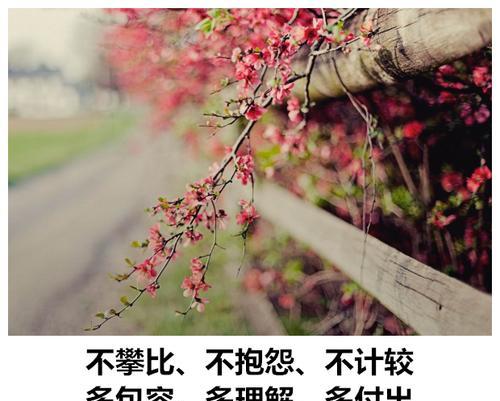 生命因你而完美（夸奖男人有才华又有智慧）