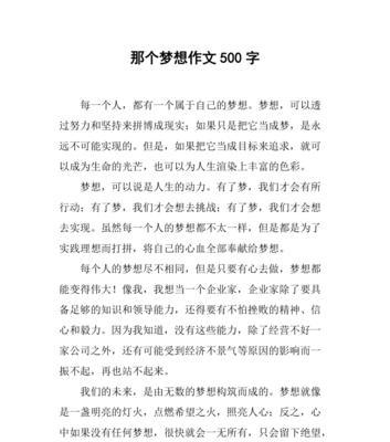永不放弃的梦想（一个年轻人的奋斗之路）