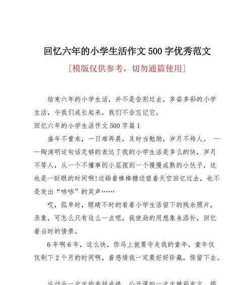回忆，时光里的花火（一场奔波中的相遇）