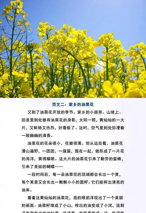 校园的美好时光（在这里）
