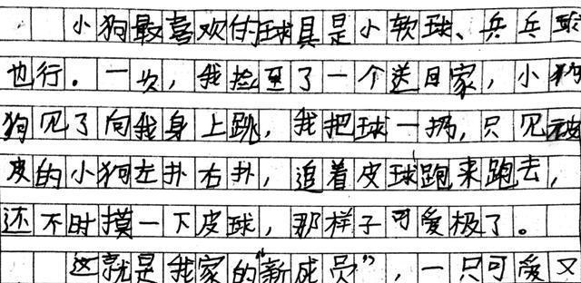 老师的苦心（明白了老师的用心）