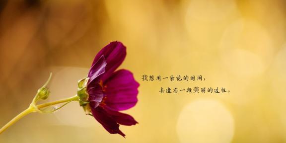 唯美句子集锦——失恋篇（25个让你心灵舒畅的短句）