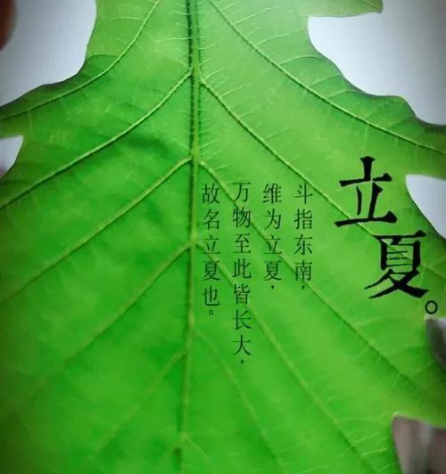 《立夏的美丽和诗意》（寻找立夏的色彩和味道）