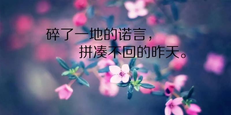 呼唤美丽的生态，保护地球家园（保护环境）