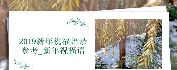 新年的花香，温暖你我的心（唯美句子）