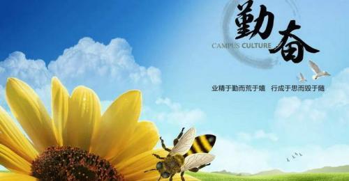 亲身实践的智慧（探索人生的路途）