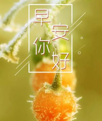 早安，世界（唯美句子给你好心情）