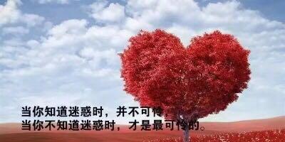 生命的美妙（感受生命的力量）