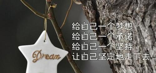 坚持不懈的努力（探寻追梦路上的美丽）