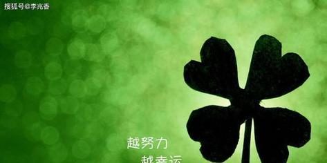 五月的唯美句子（用词优美）