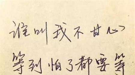 抖音，唯美与搞笑的交集（探寻抖音中的瑰丽与欢笑）
