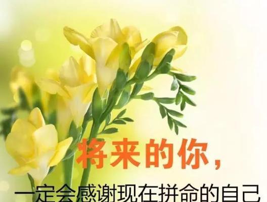 唯美励志，感动心灵（25句话）