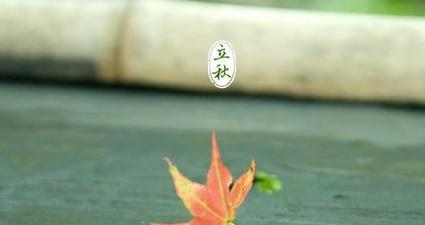 《立秋短句?落日余晖》