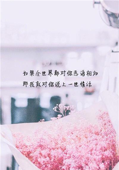 爱的语言：浪漫唯美情感语录